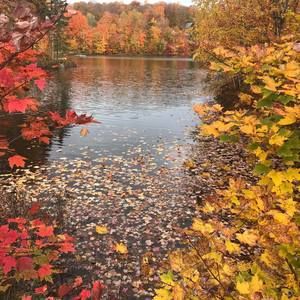 Meet your Posher, Alvaro